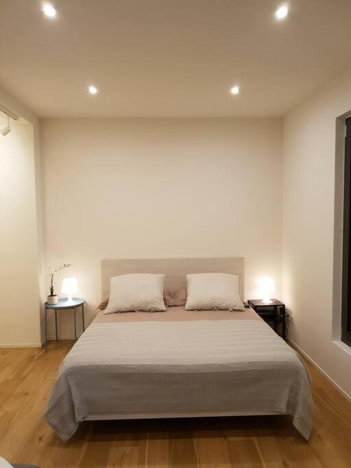 Experience The Loft! Loft 18, Downtown, Near The Lake Free Parking Available 루가노 외부 사진